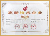 ใบรับรองระบบการจัดการคุณภาพ ISO9001 ของเทคโนโลยี Lifeng